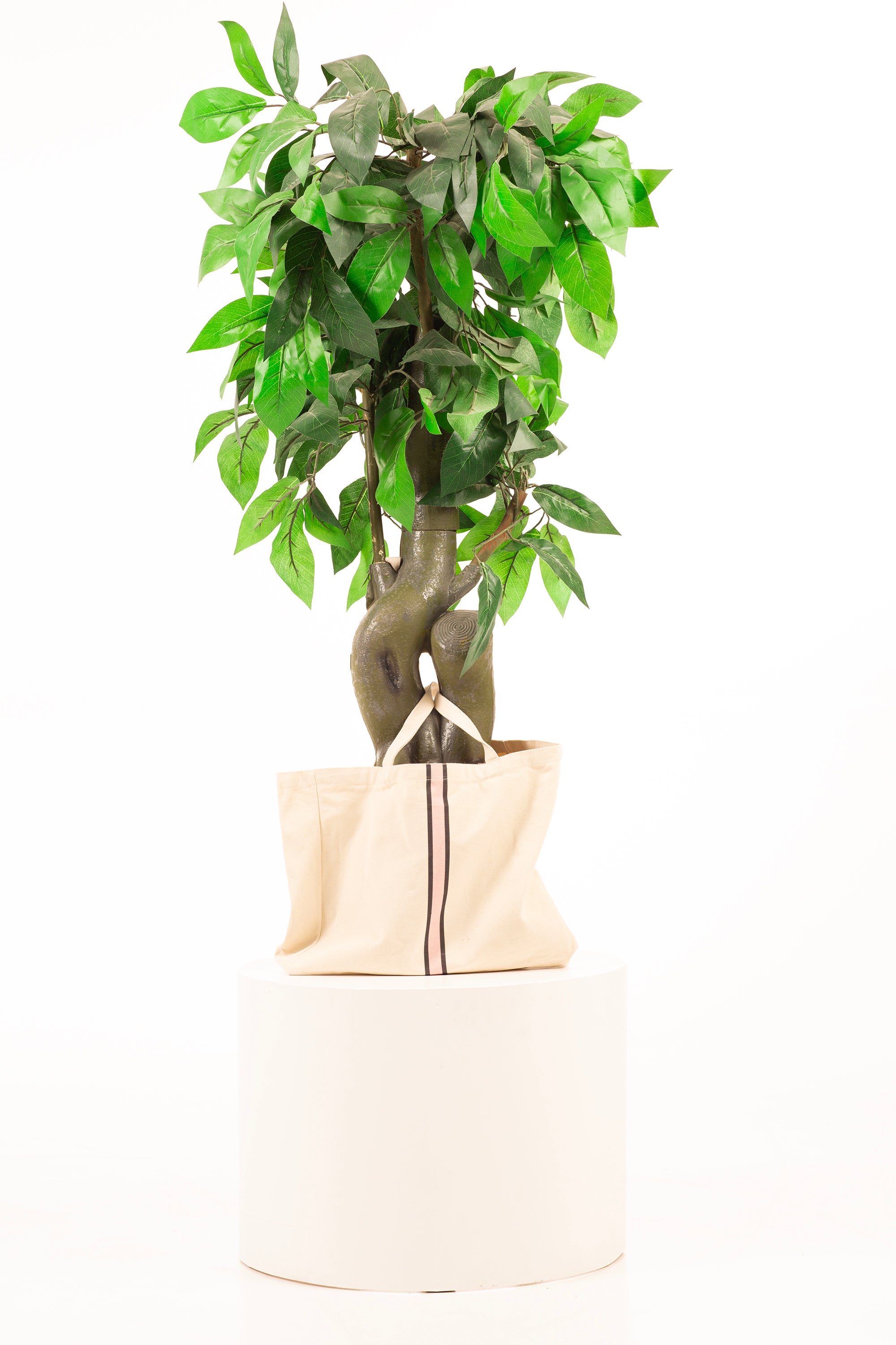 Husky Banana Tote Bag